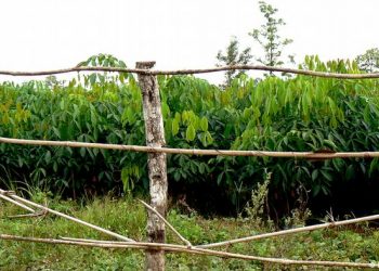 Come to our rescue and save us from land grabbers, Achalla community appeals to Anambra Govt