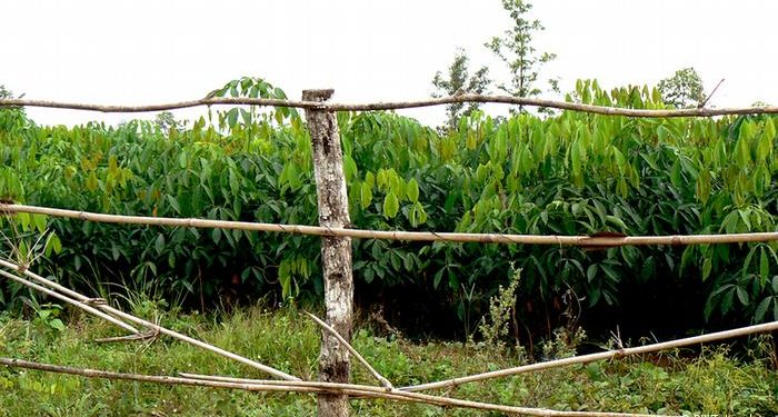 Come to our rescue and save us from land grabbers, Achalla community appeals to Anambra Govt