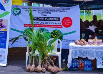 Anambra govt launches regenerative agricultural policy