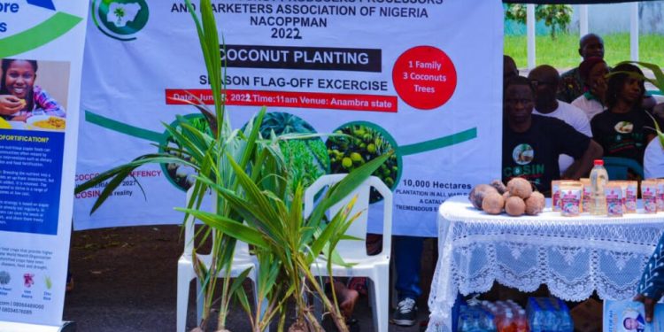 Anambra govt launches regenerative agricultural policy
