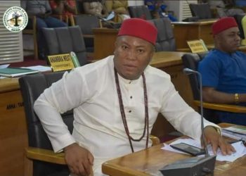 Anambra Local government system must be functional, says Hon Ezeudu