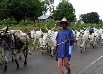 Imo residents decry herdsmen illicit activities, call for anti-open grazing law