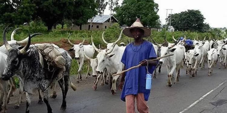 Imo residents decry herdsmen illicit activities, call for anti-open grazing law
