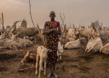 Herdsmen not involved in killing of woman in Ebonyi community – Ebonyi govt