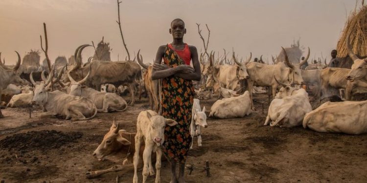 Herdsmen not involved in killing of woman in Ebonyi community – Ebonyi govt