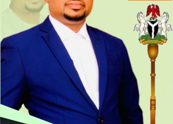 I recovered Adapalm from hoodlums, created job for Ohaji/Egbema indigenes – Onyiriuka, SDP candidate