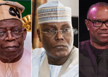 2023: Vote a leader with character that can rescue Nigeria – NIM canvasses