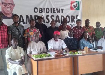 Obidient Ambassadors of Nigeria holds consultative meeting in Anambra