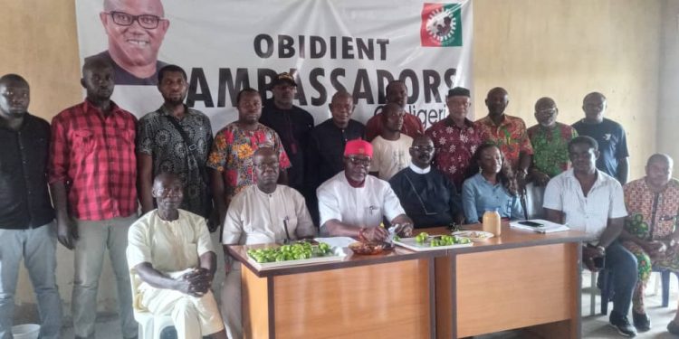 Obidient Ambassadors of Nigeria holds consultative meeting in Anambra