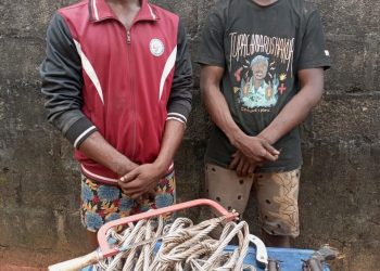Imo police arrests vandals of electricity Installation