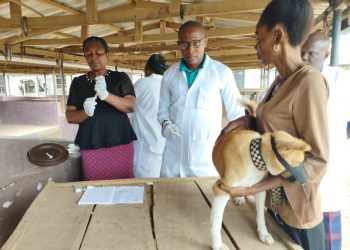 Over 35 dogs benefit from Anambra state free anti-rabies vaccination