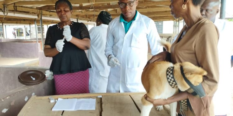 Over 35 dogs benefit from Anambra state free anti-rabies vaccination