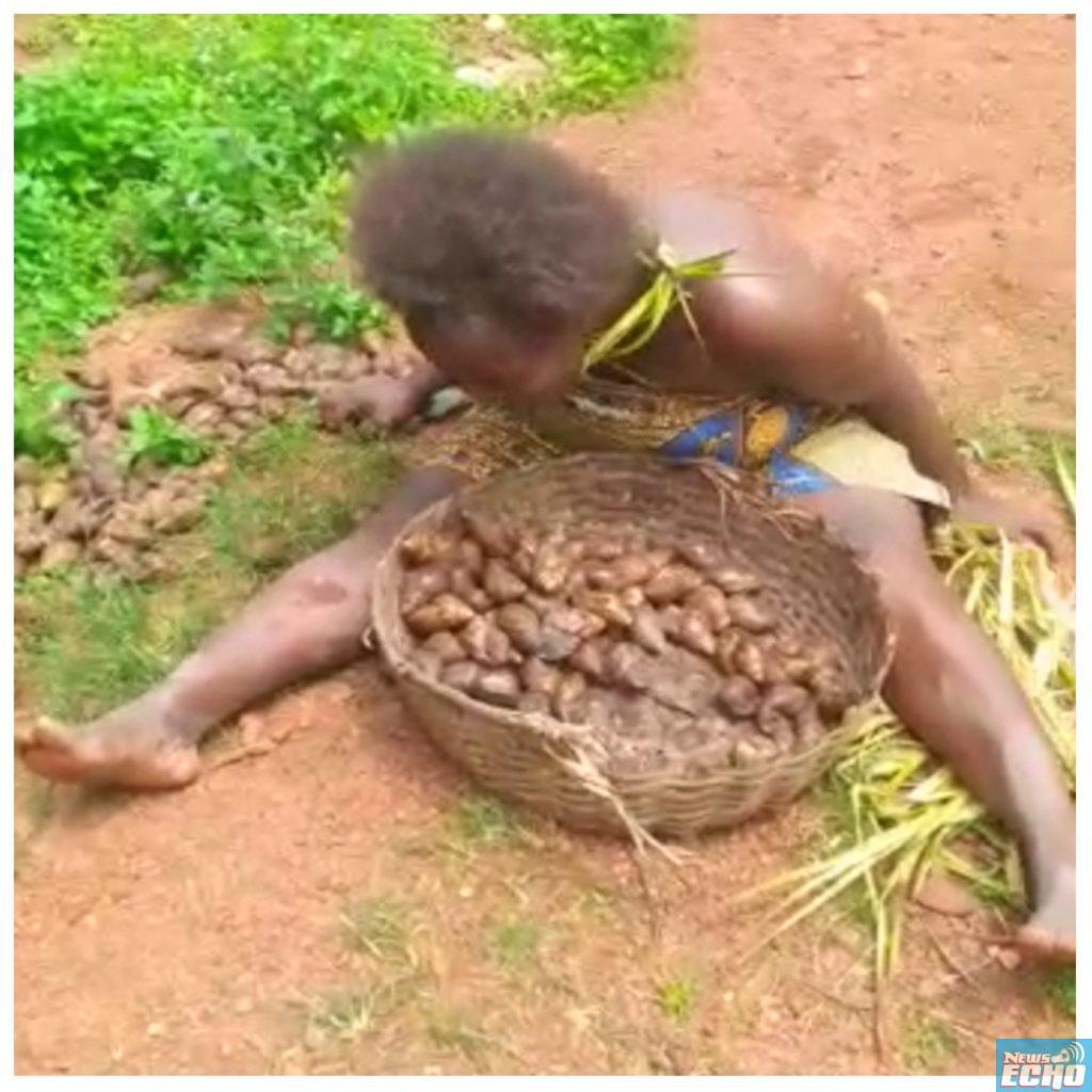Woman beaten, stripped naked, Paraded for collecting Snails in Enugu