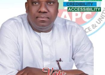 APC S’East Natl Vice Chairman urges PDP, APGA defectors to lift Imo