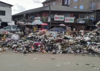 Environmentalists raise alarm over possible disease outbreak in Aba