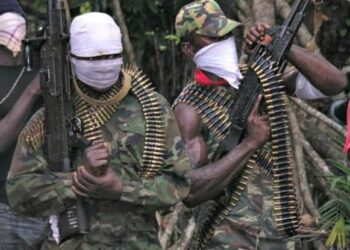 ‘How gunmen killed over 70 people in Benue communities in one week’ – Adikwu