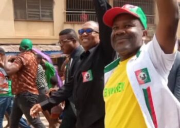 Anambra supplementary poll: LP’s Ogene wins Reps seat
