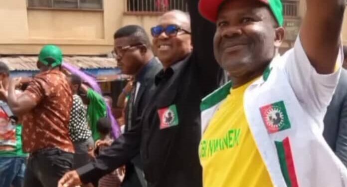 Anambra supplementary poll: LP’s Ogene wins Reps seat