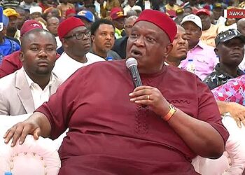 Ohanaeze Ndigbo: Iwuanyanwu presents Inaugural Presidential Speech