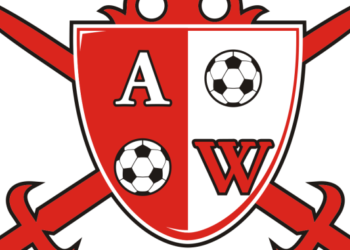 Abia Warriors gets Acting Chairman