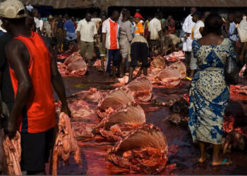 Govt to complete Standard Abattoir in Imo