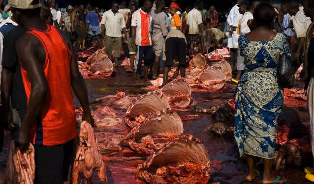 Govt to complete Standard Abattoir in Imo