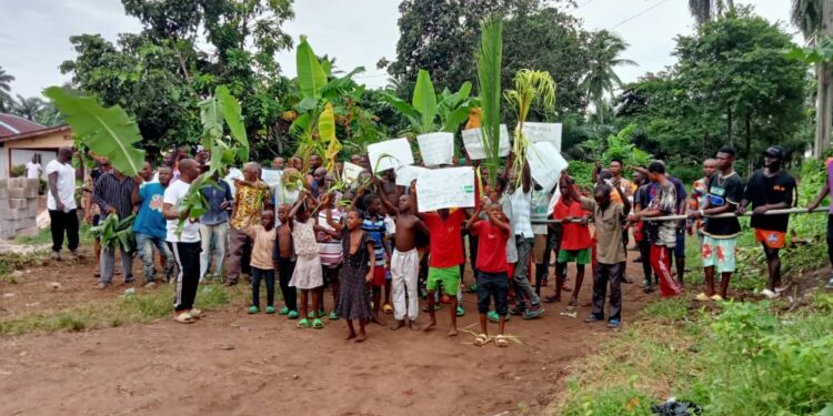 Lands Commissioner cautioned over intrusion on Umuoke Umuagiriga Uborji Okuku farm land