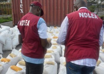 NDLEA warns against drug abuse, illicit drug peddling