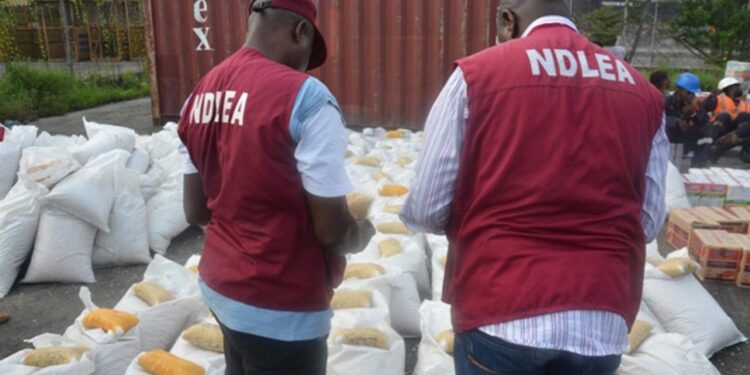NDLEA warns against drug abuse, illicit drug peddling