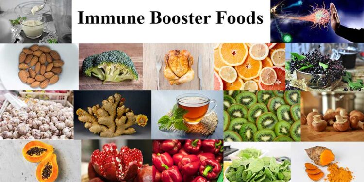 Natural foods, best immune boosters, says ABSU Professor