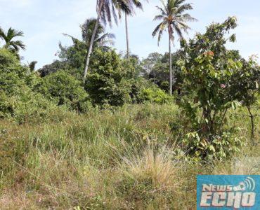 Old Boys raise alarm as fake land agents sell off school lands