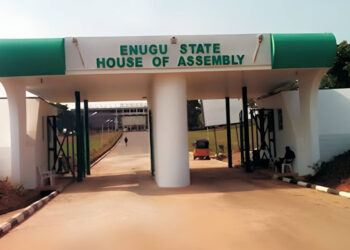 PDP’s Uche Ugwu elected Speaker of LP dominated Enugu Assembly