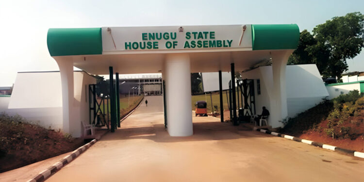 PDP’s Uche Ugwu elected Speaker of LP dominated Enugu Assembly
