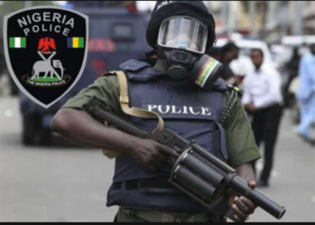 Police to dismiss eight officers In Imo for extortion, extrajudicial Killings