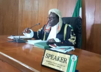 Somto Udeze emerges Anambra Speaker, Okoye, elected Deputy Speaker