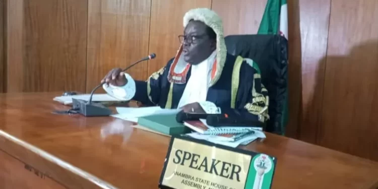 Somto Udeze emerges Anambra Speaker, Okoye, elected Deputy Speaker