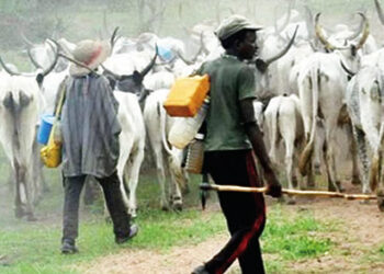Youths order Fulani herdsmen to vacate Imo community