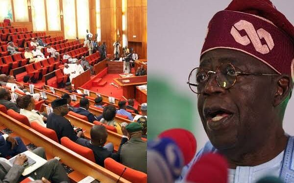 Senate Approves Tinubu’s Appointment of 20 Special Advisers