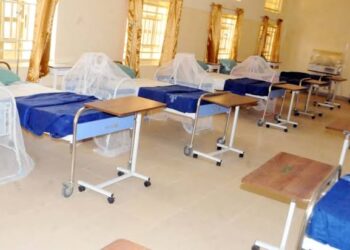 Bedbugs infest Fed Govt Girls College Owerri, feast on students