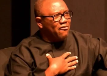 ‘I was never involved in the struggle for democracy in Nigeria’ – Peter Obi