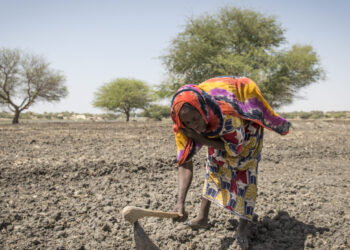 Analyzing Climate crises vis-à-vis food problems in Africa
