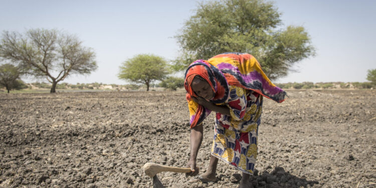 Analyzing Climate crises vis-à-vis food problems in Africa