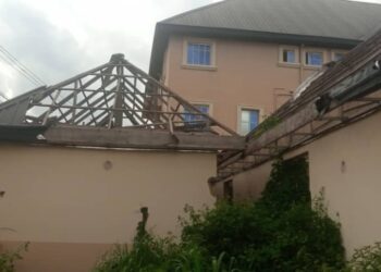 Peruse certified true copy of findings, ex Isuaniocha PG urges Governor Soludo