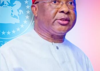 Okolieogwo berates 2018 ALGON’s claims for adopting PDP candidate