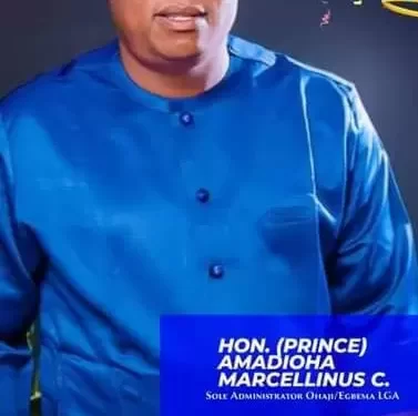 Ohaji/Egbema solidly behind Uzodimma’s reelection – SOLAD