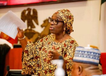 Environmental degradation: Sen Ekwunife calls for caution over Anambra’s mining operations