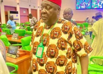 Jonas Okeke assures Okigwe South Fed Constituency of better days