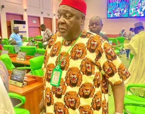 Jonas Okeke assures Okigwe South Fed Constituency of better days