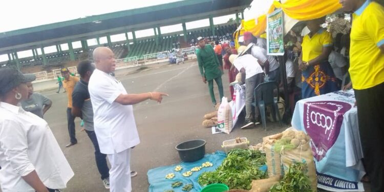 International day of Cooperatives: Anambra govt, Cooperative Societies partner on food sufficiency