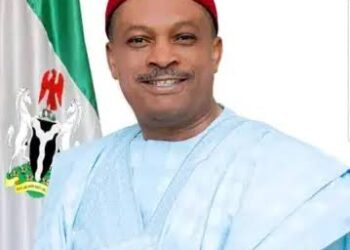 PDP Guber candidate, Anyanwu, vows to eliminate hunger, insecurity in Imo